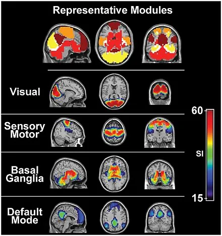 This image shows the BOLD response of different regions of the brain when the subject performs different tasks