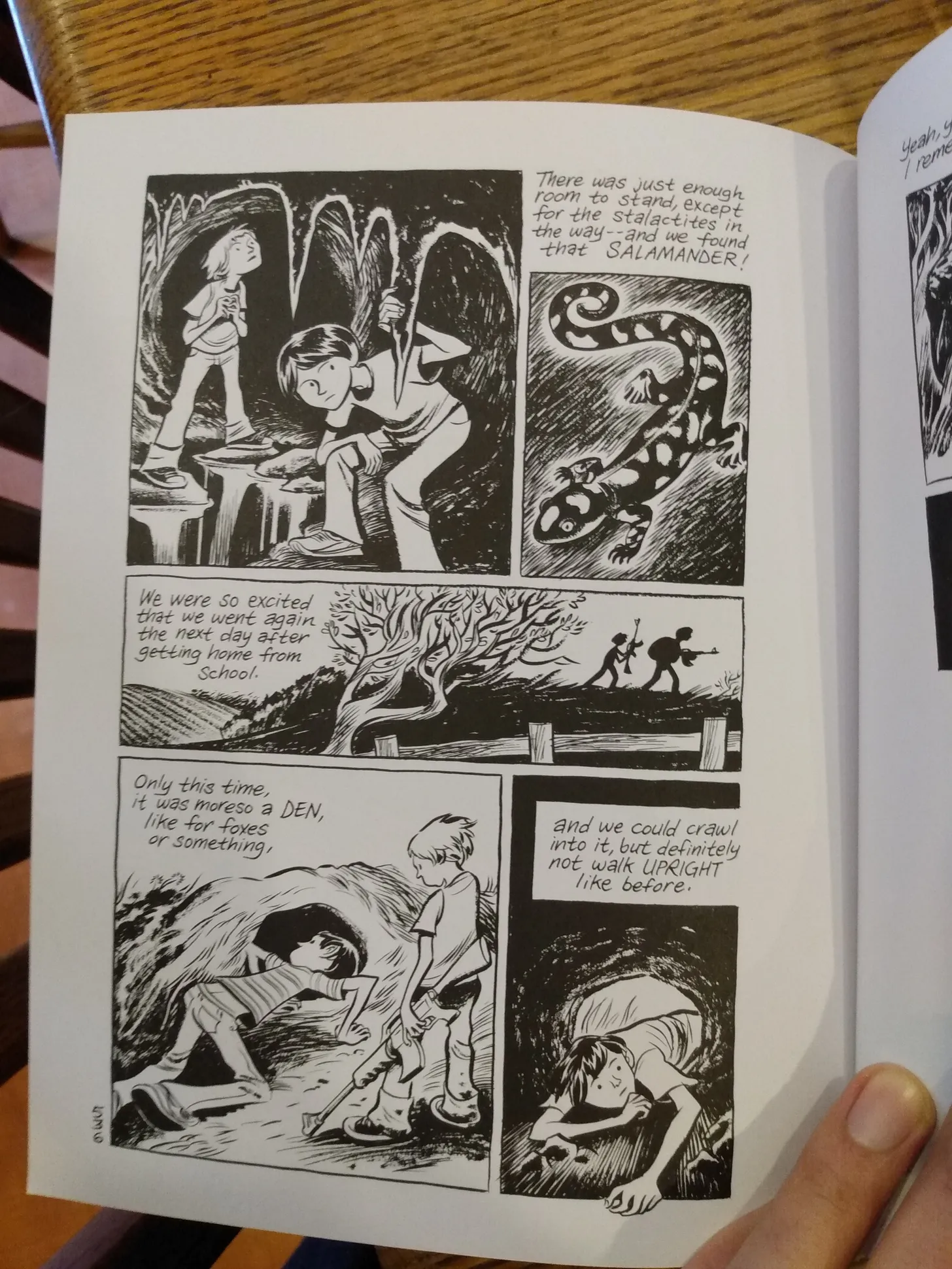 Imagen de la novela gráfica