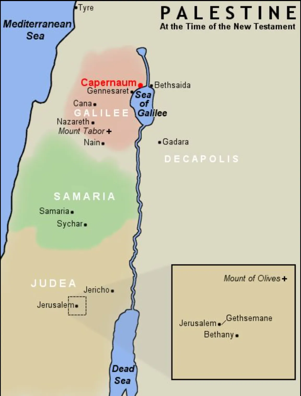 Alt text description