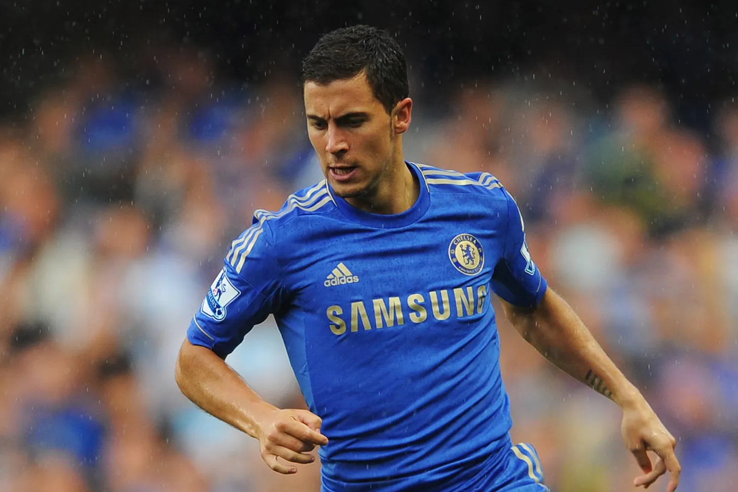 466e7700-bc44-4d09-b12e-8ae33dccf1df_205