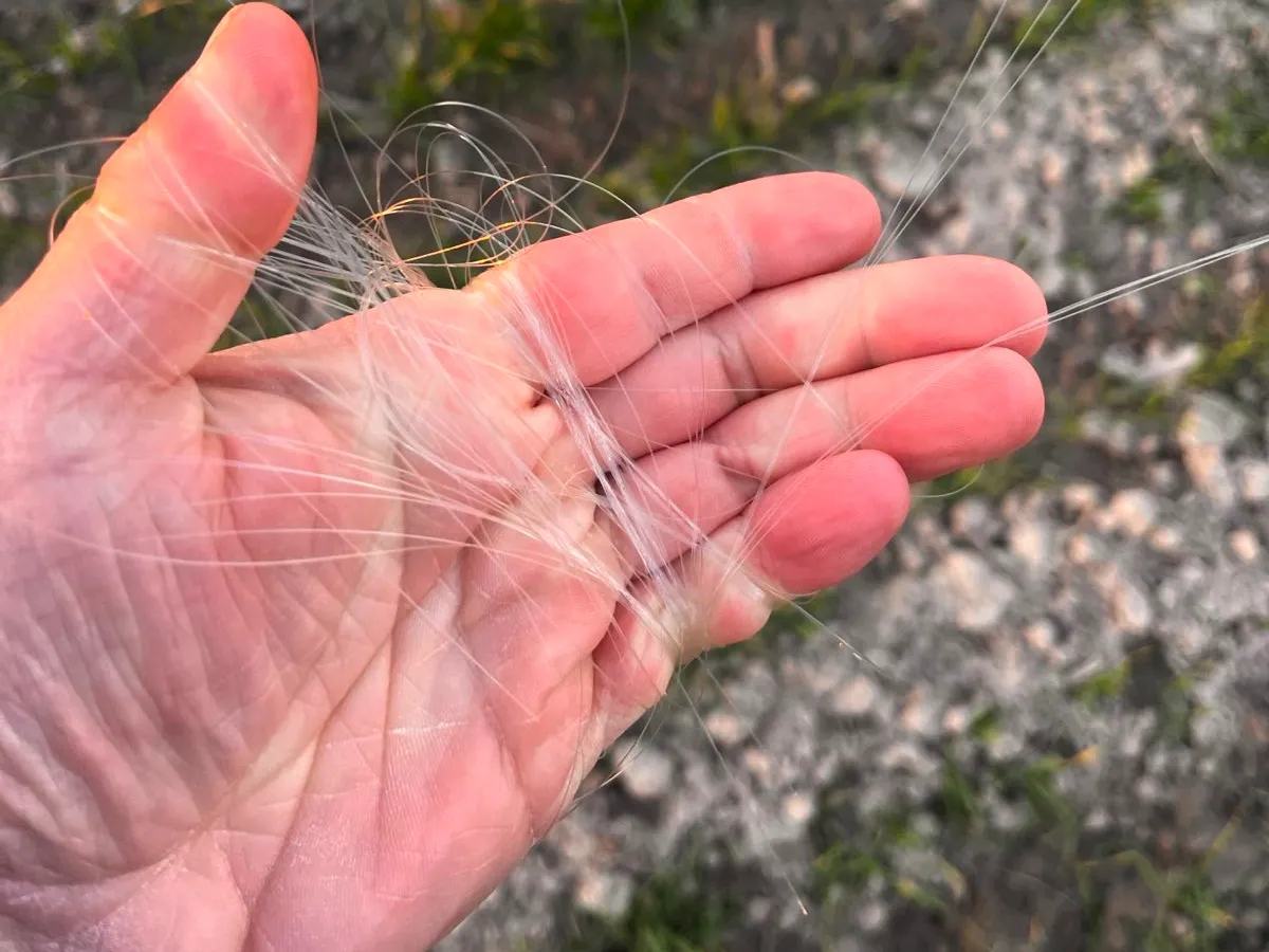 6ed8e057-a6ee-43e8-8d19-f1210ddfa026_120