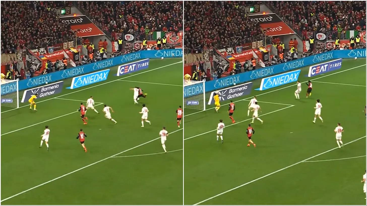 85d3f8de-2714-44e9-9f8e-69da2cb21e60_256