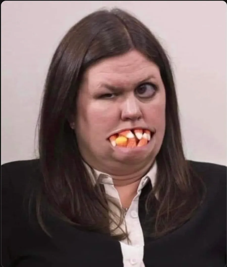 8d89063f-0770-40ae-a41b-162931b06ec8_916