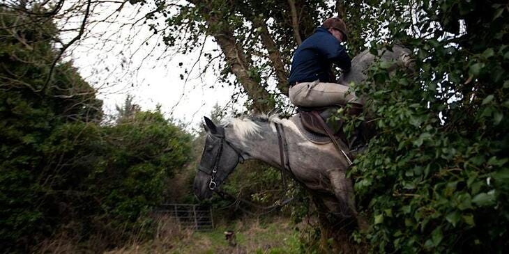 A man riding a horse backwards