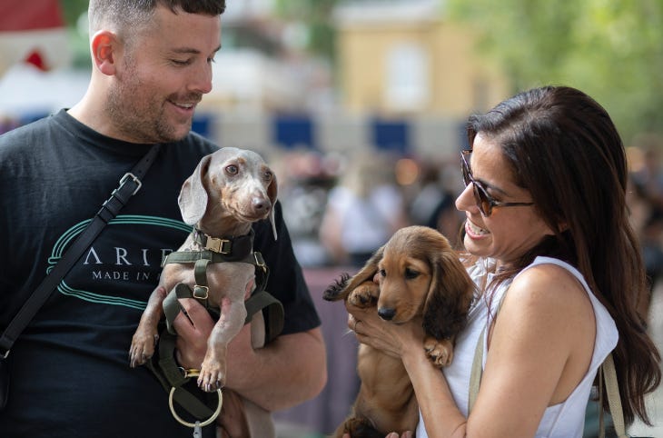 A man and a woman, each holding a dacshund in their arms