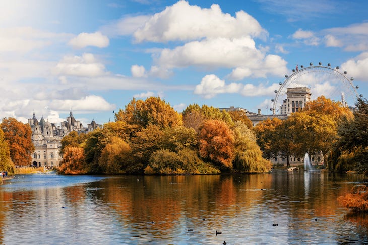 Orange leaves on trees in St James's Park, London, in autumn