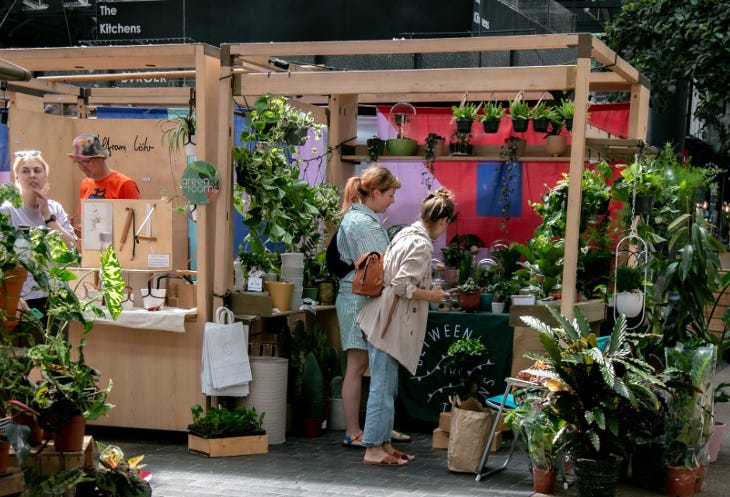 Two women browsing at a plant market