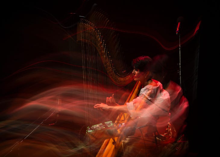 A photograph of a harpist playing