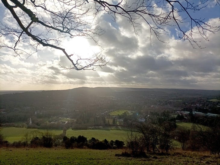 Box HIll from the north