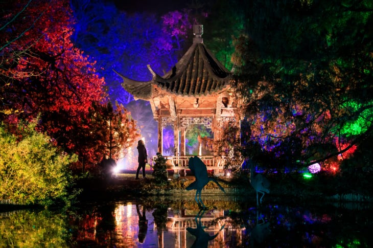 A pagoda and surrounding trees lit of with coloured lights