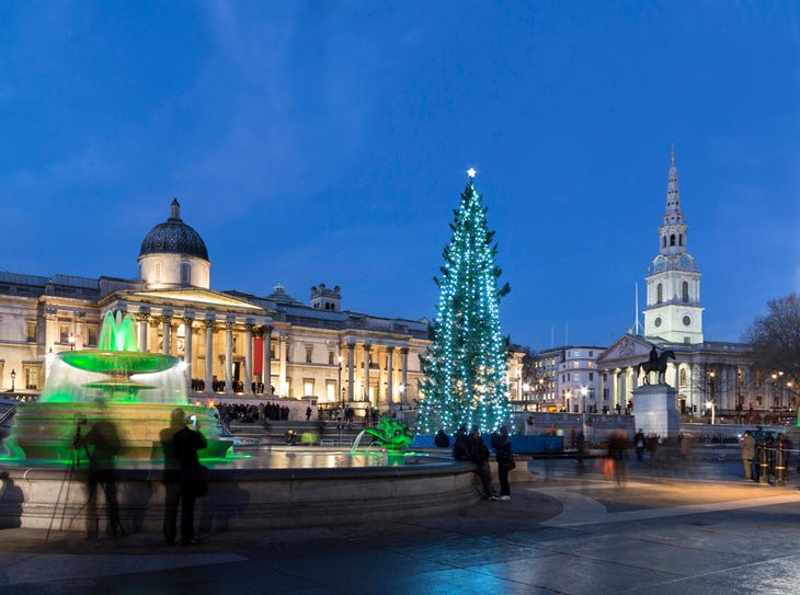 The tree in Trafalgar Square