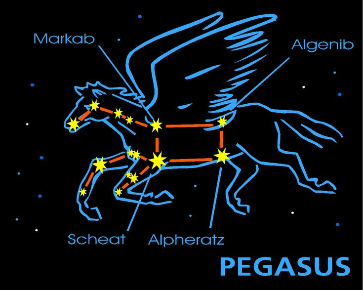 Room 07 Randwick Park School: What are constellations? | Pegasus  constellation, Constellations, Pegasus