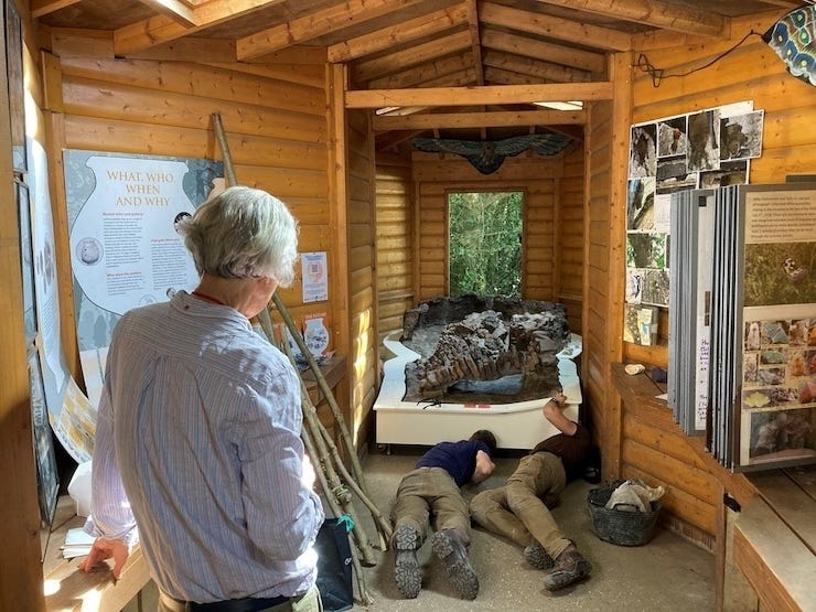 Worst. Hot tub. Ever. A woman inspect a Roman kiln, as two workmen attempt to slither underneath