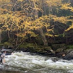 My Filson Fly Fishing Vest Just Won't Quit - by Jacob Sotak