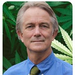 Mind Body Health & Politics