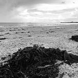The History Islands by Paul Darroch