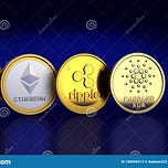Investing in India