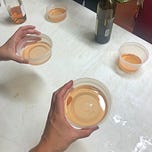 Food Lover's Dispatch