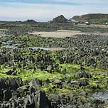 The History Islands by Paul Darroch