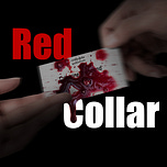 Catherine Townsend - Red Collar Diaries