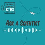 Science Journal for Kids