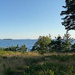 The Daily Respite