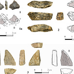 Anthropology.net