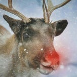 Bill’s Midwinter Music Blog
