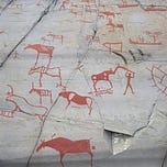 Anthropology.net