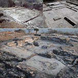 Anthropology.net