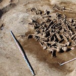 Anthropology.net