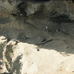 Anthropology.net