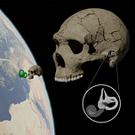 Anthropology.net