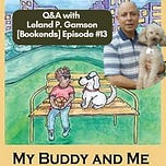 Indie Author Insights