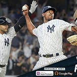 Bronx Pinstripes