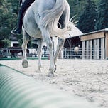 馬サポ（Wagi）のメルマガ