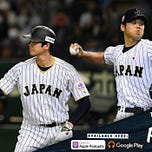 Bronx Pinstripes