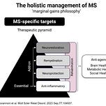 MS-Selfie