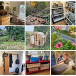 Roughhousing