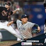 Bronx Pinstripes