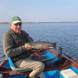 Ireland on the Fly