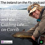 Ireland on the Fly