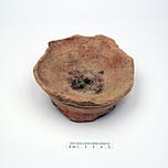 Anthropology.net