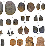 Anthropology.net