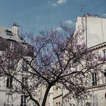 if not, Paris