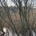 Bracken & Wrack