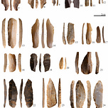 Anthropology.net