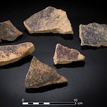 Anthropology.net