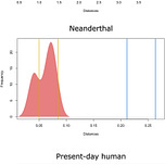 Anthropology.net