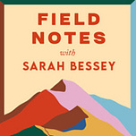 Sarah Bessey's Field Notes